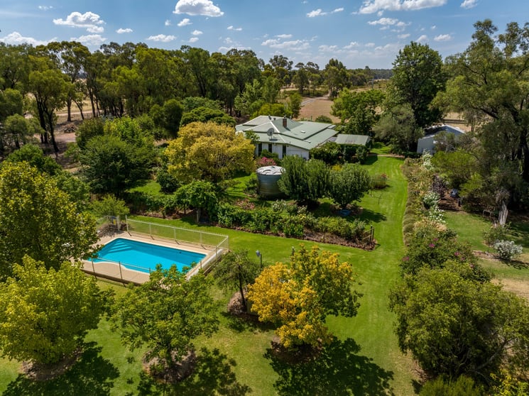 Click to view all images 969 Thanowring Road Temora NSW 2666 - Image 1