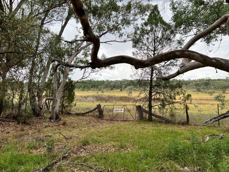 Click to view all images 4706 Obley Road Obley NSW 2868 - Image 3