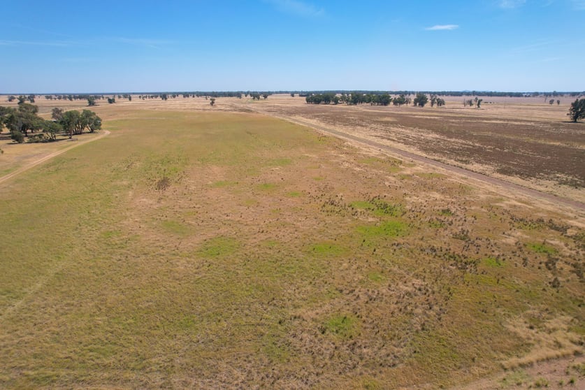 Click to view all images 1111 Newell Highway Wyalong NSW 2671 - Image 2