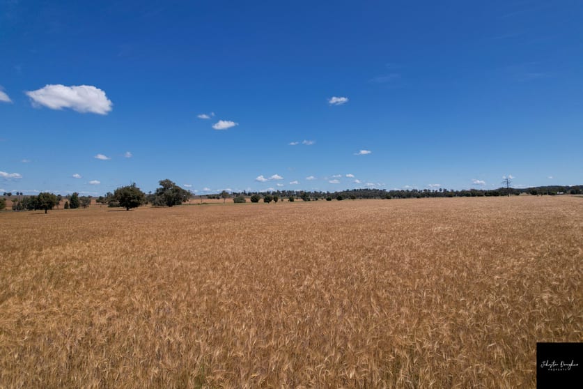 Click to view all images 2106 Willala Road Gunnedah NSW 2380 - Image 2