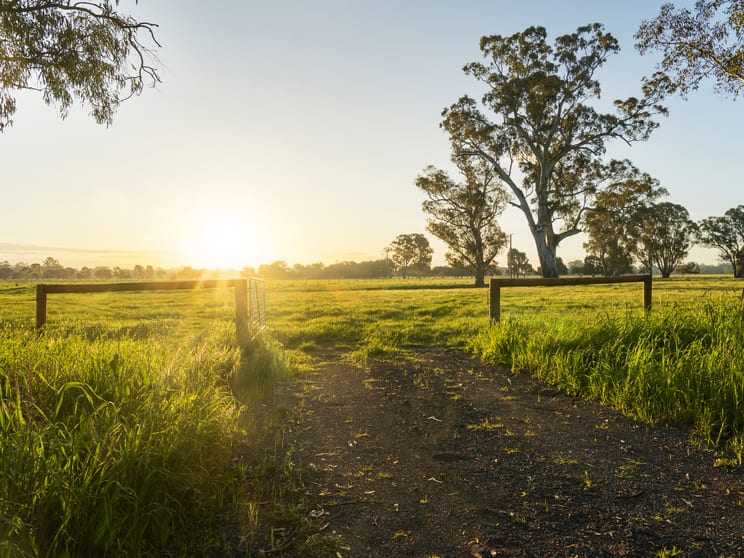 Click to view all images 111 Moglonemby Road Euroa VIC 3666 - Image 3