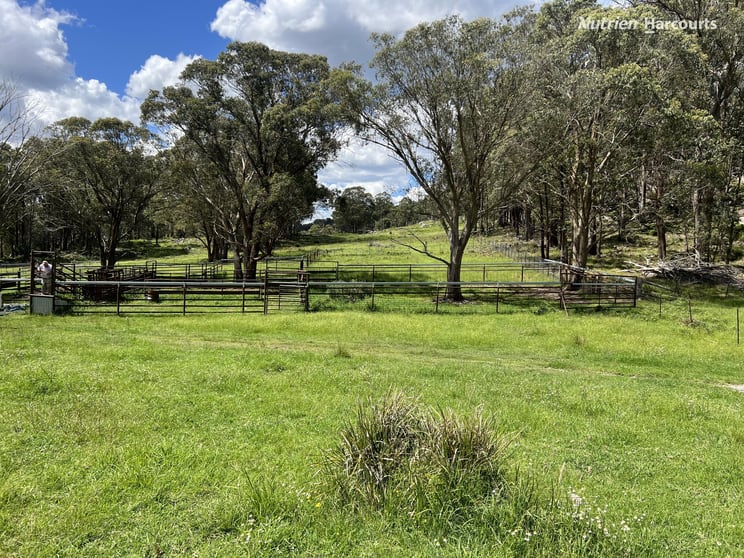 Click to view all images 'Mt Clear'/* Morven Road Dundee NSW 2370 - Image 2