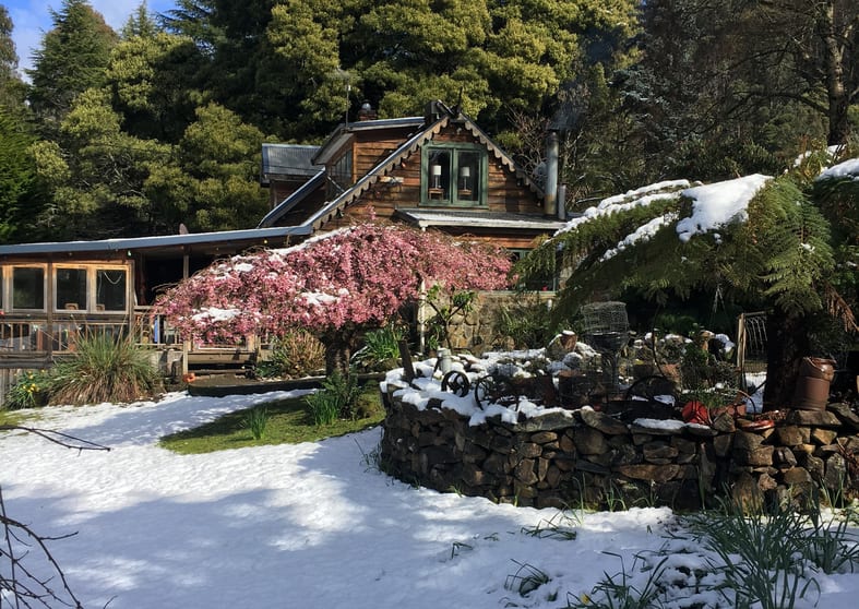 Click to view all images 250 Masons Road Wilmot TAS 7310 - Image 2