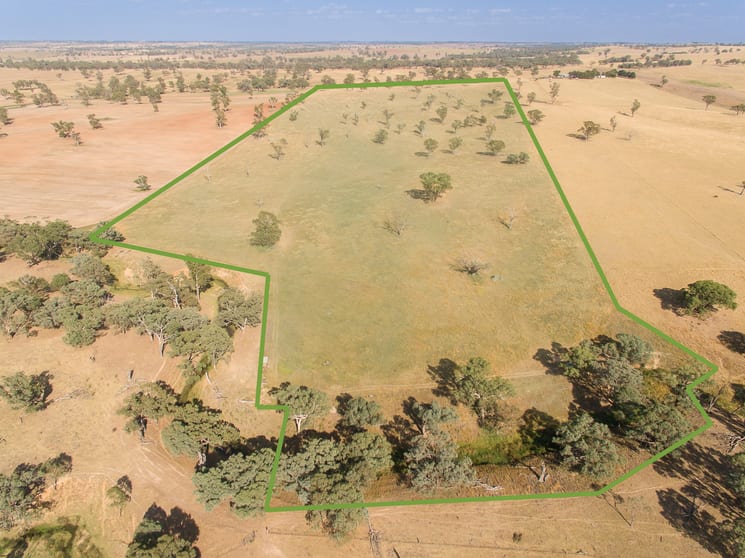 Click to view all images Hartfield Road Barwang via Young NSW 2594 - Image 1