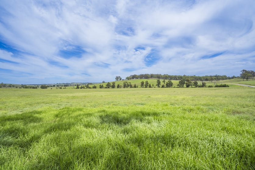 218 Cranky Corner Road Stanhope NSW 2335 - Image 3