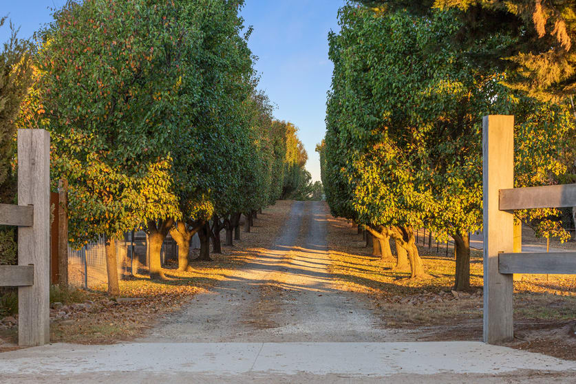 Click to view all images 166 Roberts Road Mornington VIC 3931 - Image 3