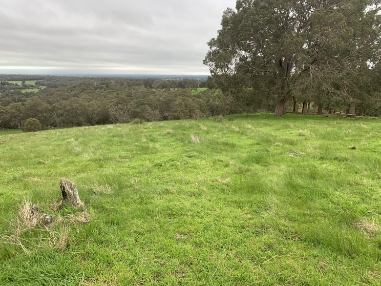 177 Pile Road Henty WA 6236 - Image 1
