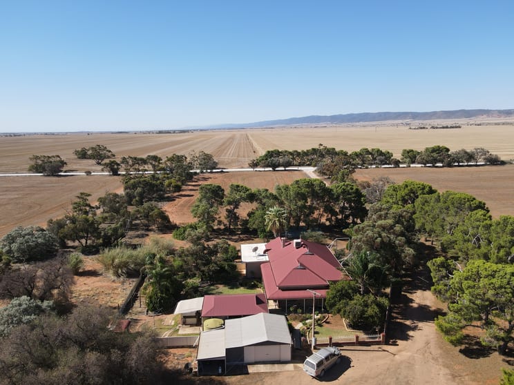 Click to view all images 377 Milcowie Rd Nurom SA 5523 - Image 1