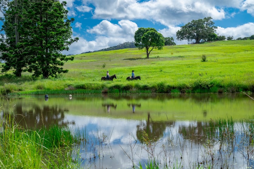 Click to view all images 85 Caulleys Road Gunalda QLD 4570 - Image 3