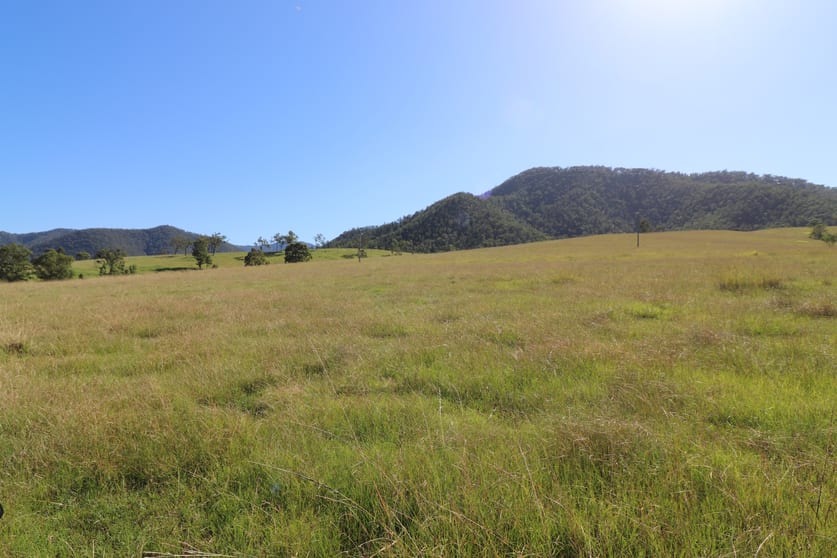 Click to view all images Lot 91/7986 Kempsey Rd Lower Creek NSW 2440 - Image 1