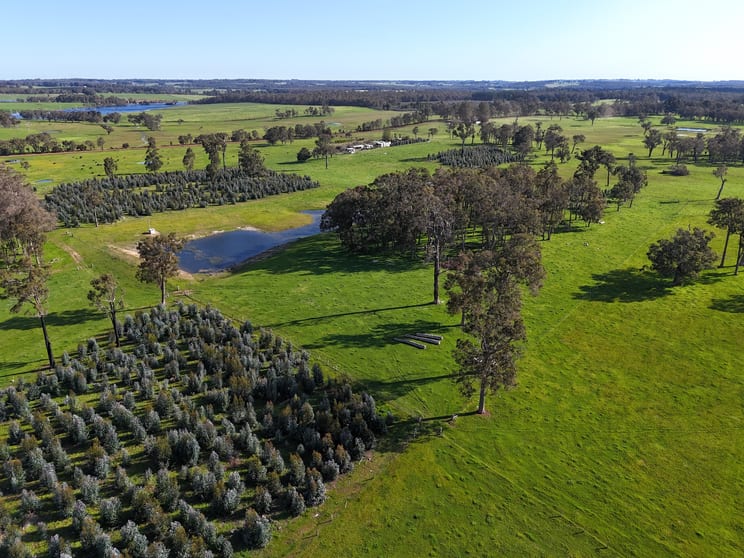 Click to view all images 64 Gibellinis Road (Linfarne) Manjimup WA 6258 - Image 2