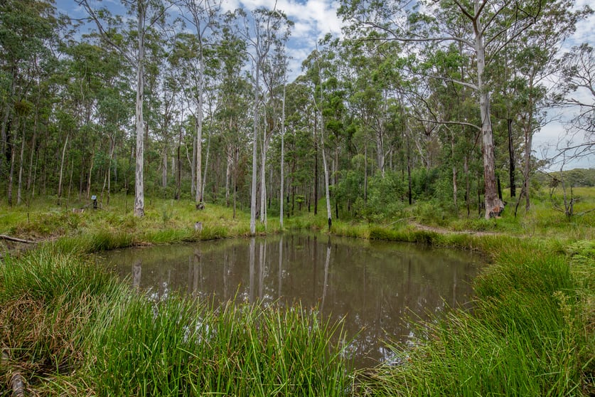 Click to view all images 8591 Armidale Road Dorrigo NSW 2453 - Image 3