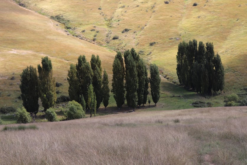 Click to view all images 620 Levels Road Golspie NSW 2580 - Image 2