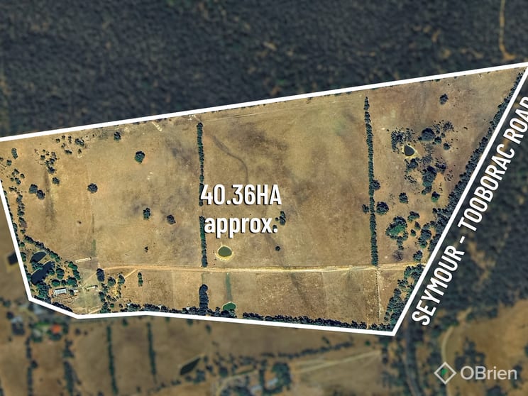 Click to view all images 2745 Seymour-Tooborac Road Tooborac VIC 3522 - Image 3