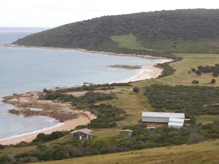 Click to view all images . Prime Seal Island (Bass Strait) Whitemark TAS 7255 - Image 3