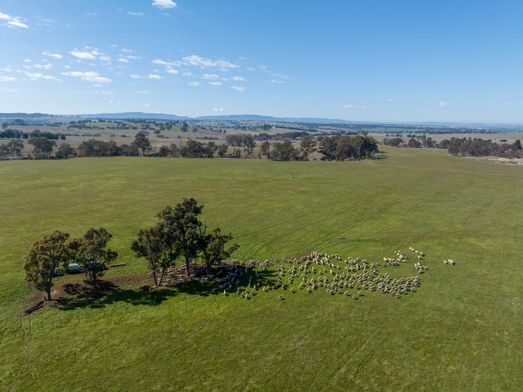 Click to view all images 536 Duramana Road Eglinton NSW 2795 - Image 3