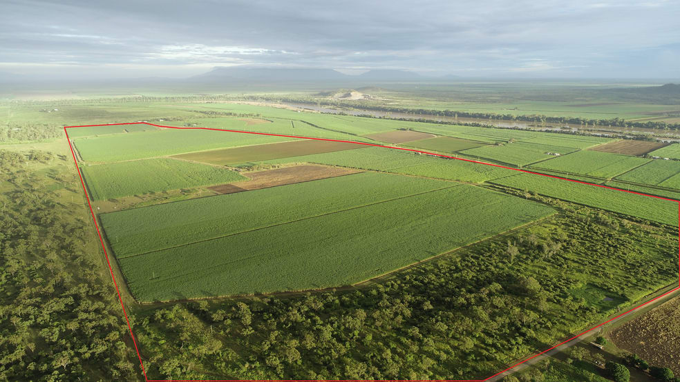 1235 Kirknie Road Kirknie QLD 4806 - Image 1
