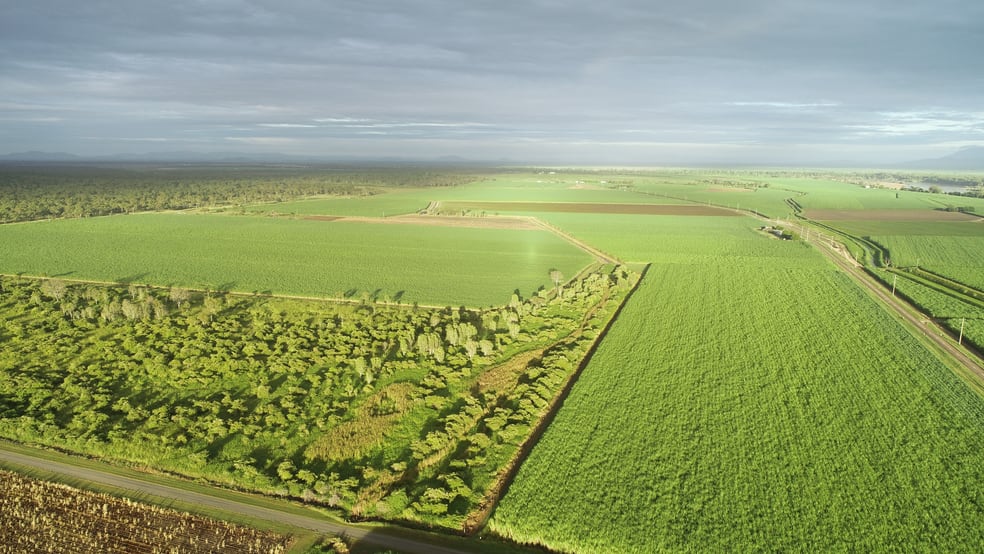 1235 Kirknie Road Kirknie QLD 4806 - Image 2