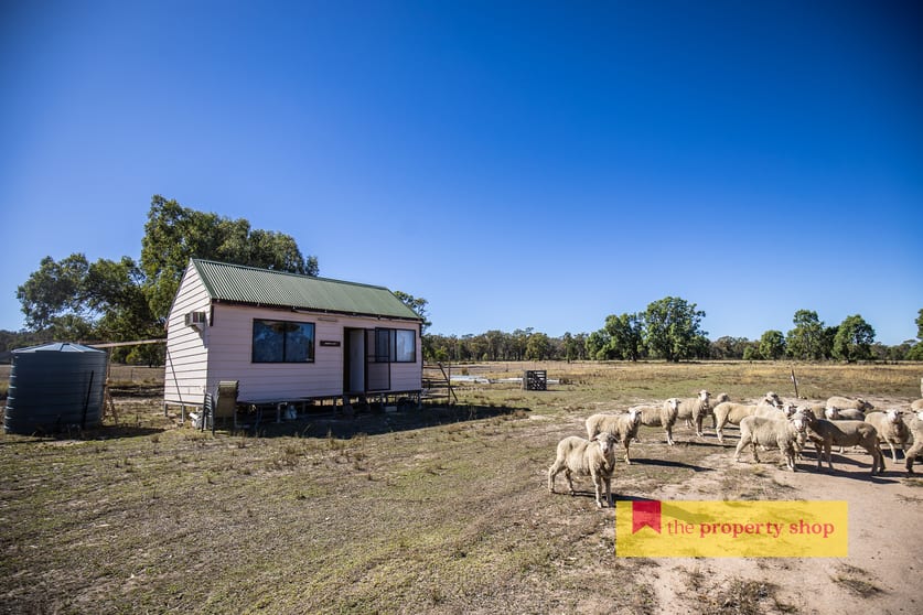 Click to view all images 1613 Spring Ridge Road Dunedoo NSW 2844 - Image 3