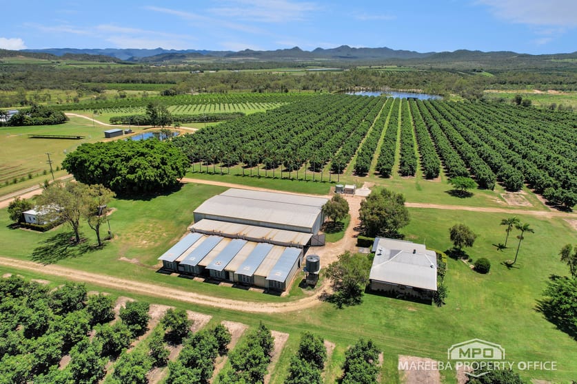 Click to view all images 65895 Burke Developmental Road Dimbulah QLD 4872 - Image 1