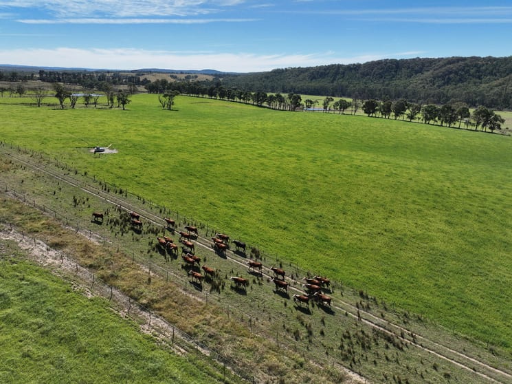 Click to view all images 710 Inverary Road Paddys River NSW 2577 - Image 1