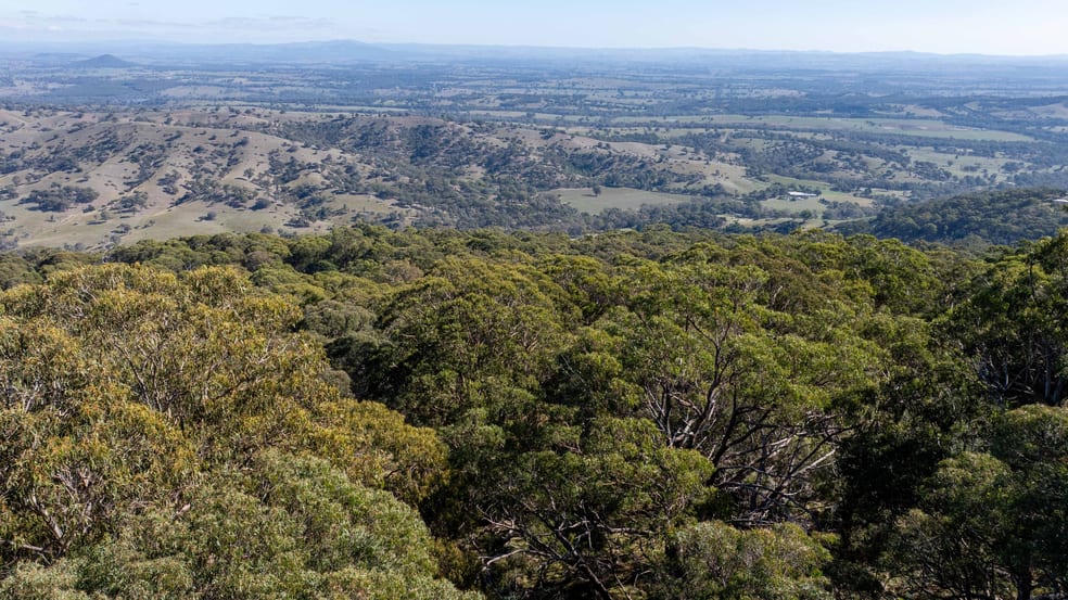 Click to view all images 400 Ennis Road Tallarook VIC 3659 - Image 2