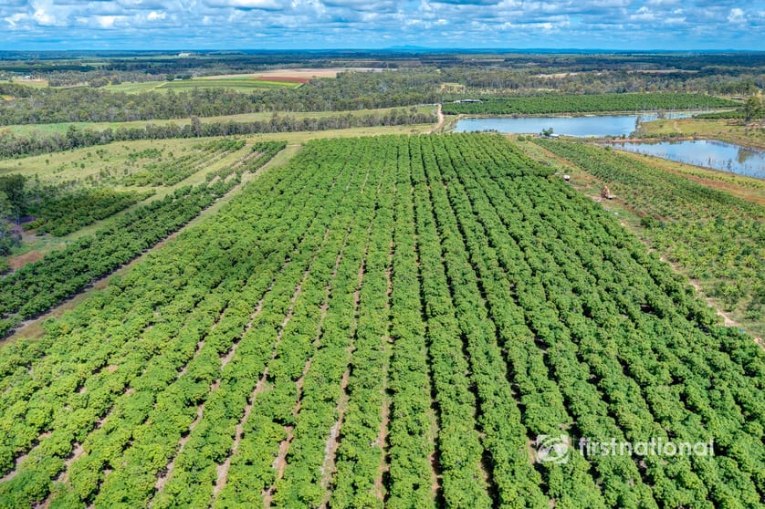 Click to view all images South Kolan QLD 4670 - Image 1
