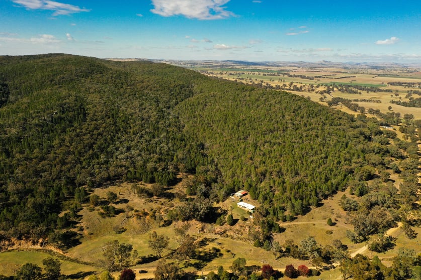 Click to view all images 1859 Douglas Gap Road, Barwang Via Young NSW 2594 - Image 1