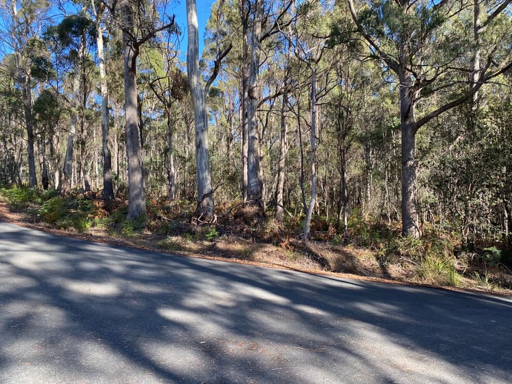 Click to view all images Lot 1 River Road Reedy Marsh TAS 7304 - Image 2