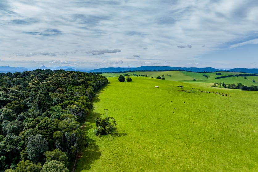 Click to view all images 889 Acacia Plateau Road Legume NSW 2476 - Image 2
