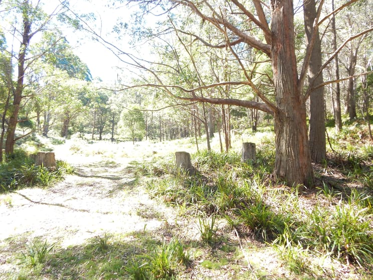 Click to view all images 1864 Tuross Road Tuross NSW 2630 - Image 1