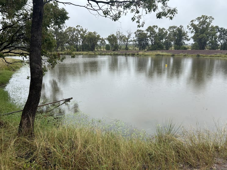Click to view all images 2459 Glenern Road Glenmorgan QLD 4423 - Image 3