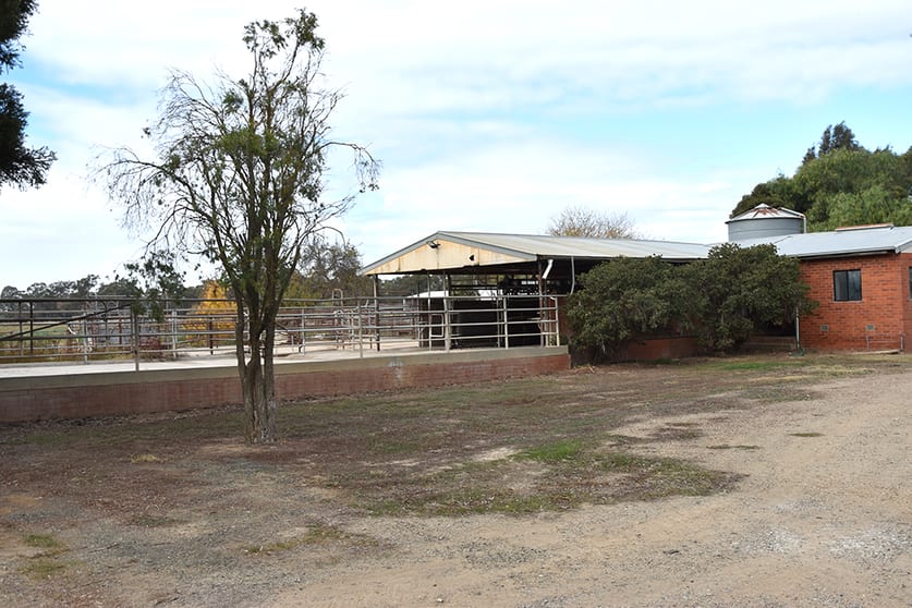 Click to view all images 221 Dunbar Road Lancaster VIC 3620 - Image 2