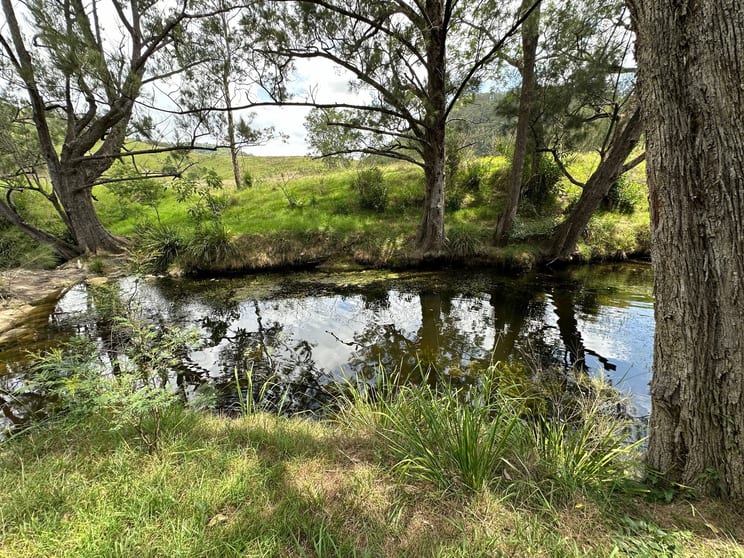 Click to view all images 5555 Parks Creek Road East Gresford NSW 2311 - Image 1