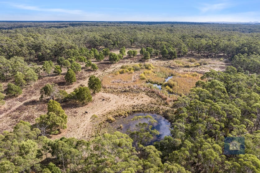 257 Sextons Rd Swan Marsh VIC 3249 - Image 3