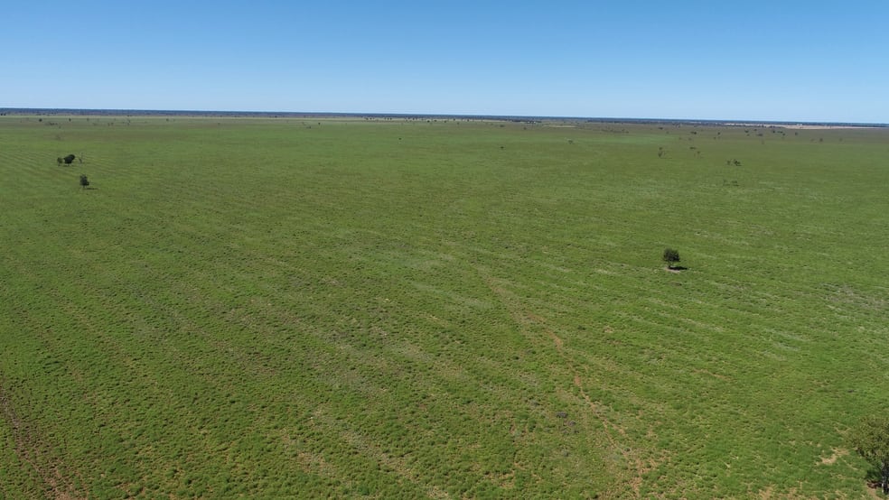 "Bonavista" 13724 Mitchell - St George road Roma QLD 4455 - Image 3