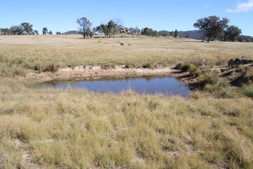 Click to view all images 436 Woodside Road Tenterfield NSW 2372 - Image 2