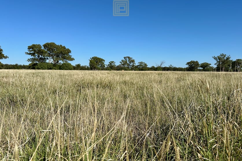 Click to view all images 7290 Come By Chance Road Come By Chance NSW 2832 - Image 2