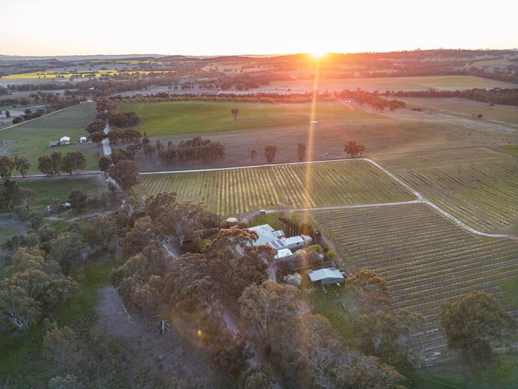 Click to view all images 116 Polish Hill River Road Clare SA 5453 - Image 3