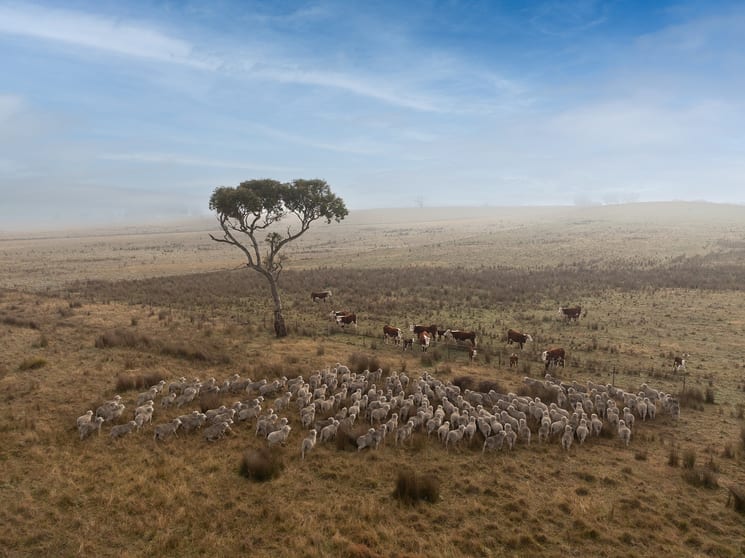 Click to view all images 'Round Mount' 233 Bylong Valley Way Ilford NSW 2850 - Image 3