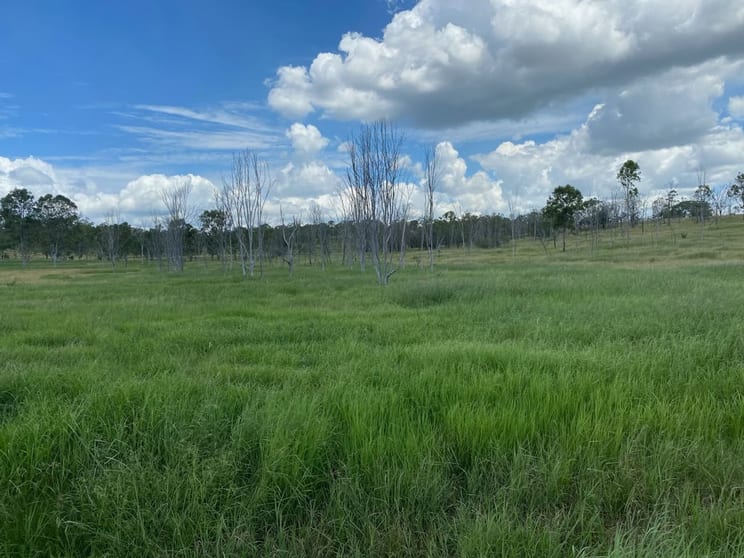 Click to view all images Coringa QLD 4621 - Image 3