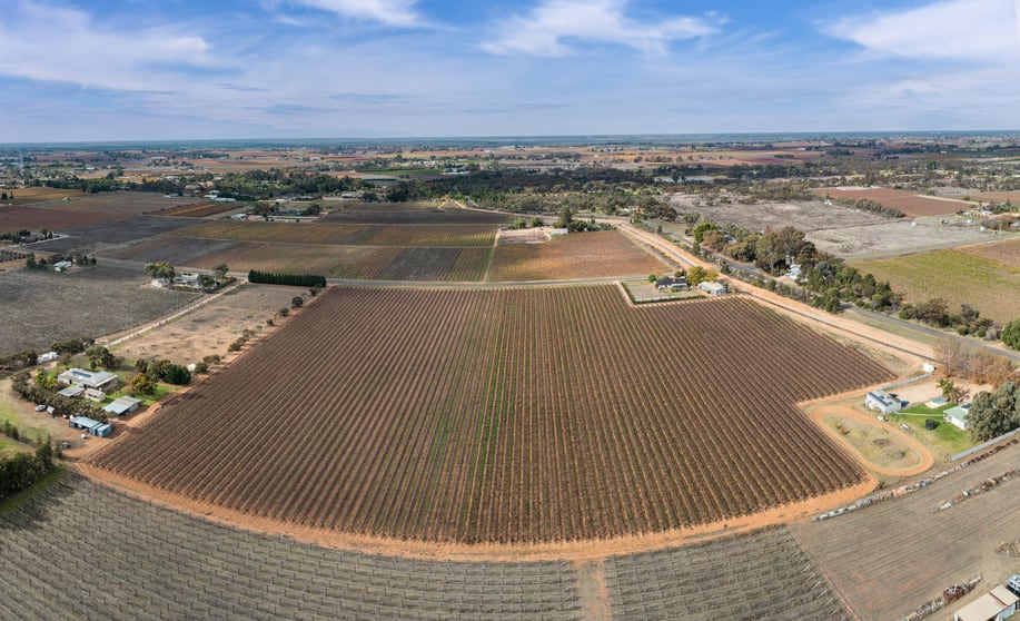 Click to view all images Lot 1 Euston Avenue Irymple VIC 3498 - Image 2