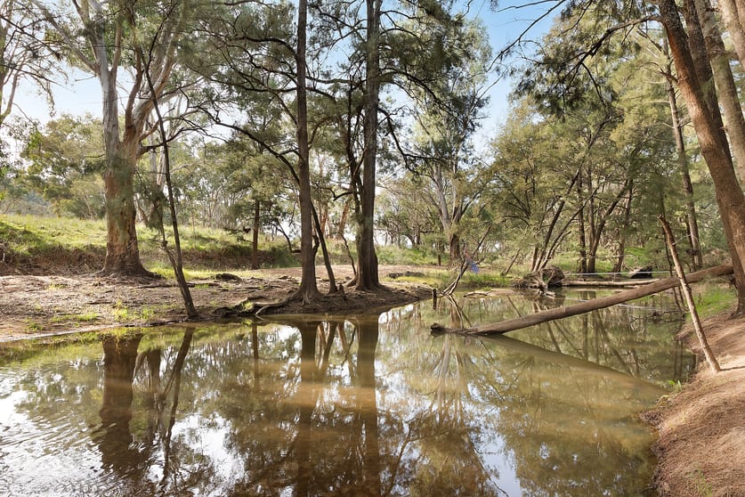 Click to view all images 252 Gardiners Road Gulgong NSW 2852 - Image 3