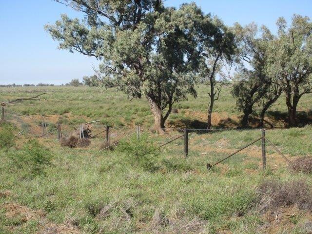 Click to view all images Arundel Road Ilfracombe QLD 4727 - Image 3
