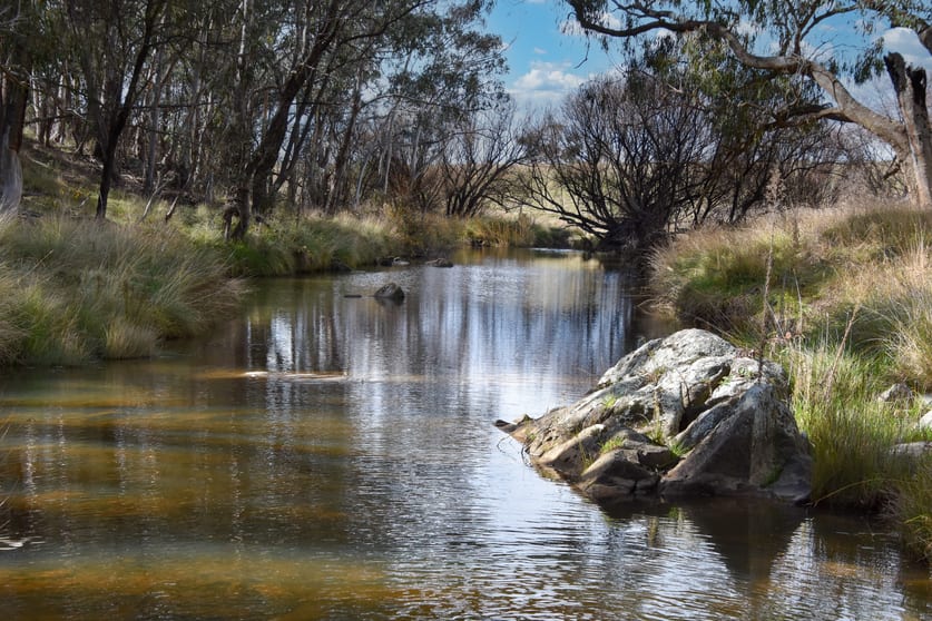 Click to view all images 2625 Trunkey Road Caloola NSW 2795 - Image 1