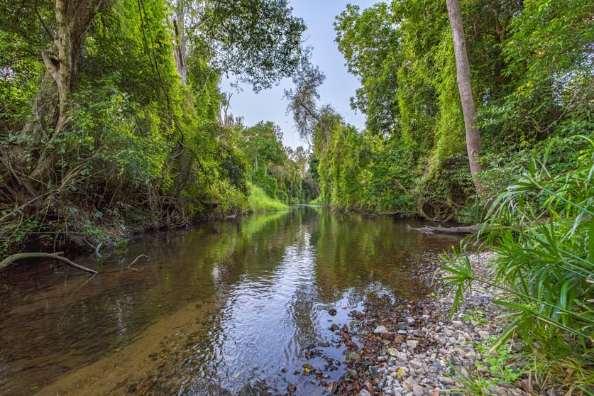 Click to view all images Lot 6 Eel Creek Road Langshaw QLD 4570 - Image 2