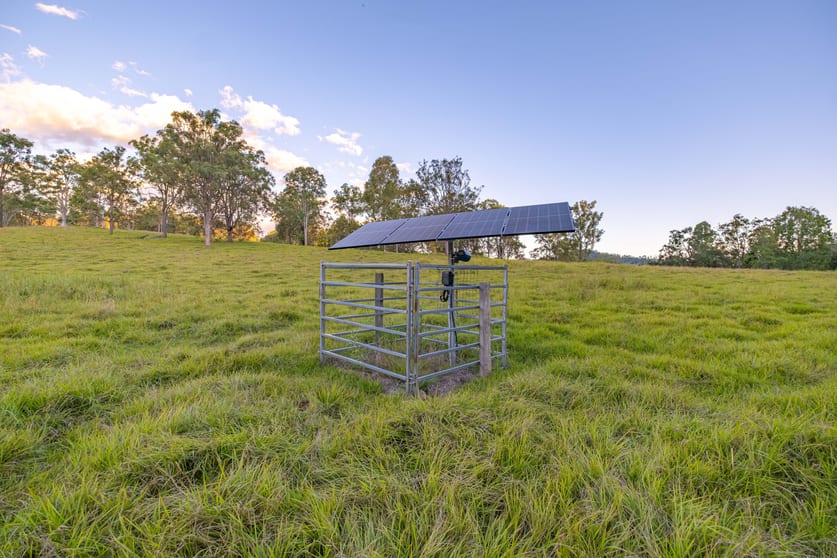 Click to view all images Lot 6 Eel Creek Road Langshaw QLD 4570 - Image 3