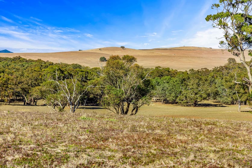 Click to view all images Lot 35 Laydons Road Great Western VIC 3374 - Image 3
