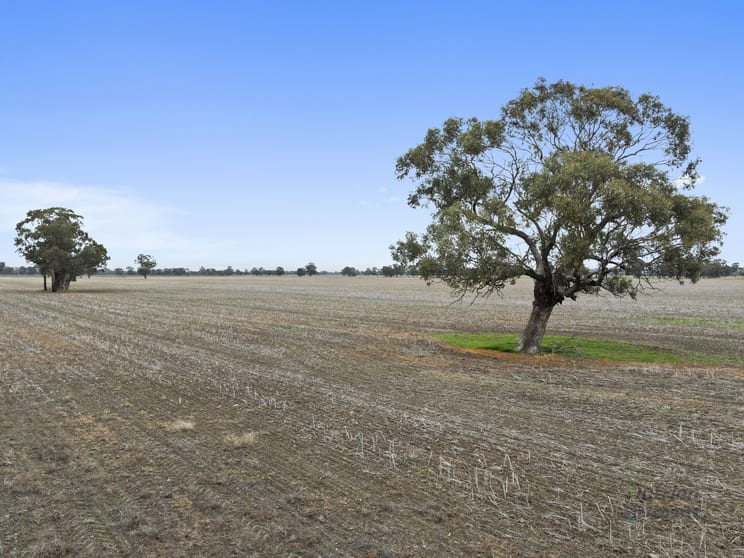 Click to view all images 0 Morgans Lane Tabilk VIC 3607 - Image 3