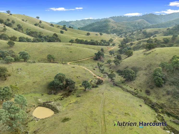 Click to view all images 870 UT Creek Road Devils River VIC 3714 - Image 3